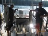 (06/12/2017) - Nice Striped Bass